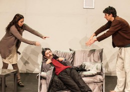 Fuga di un rospo - Teatro Erba Torino 15/12/2012